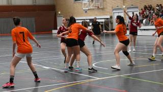 Final Balonmano FECEM -Cerbuna